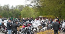 Krosno 2011